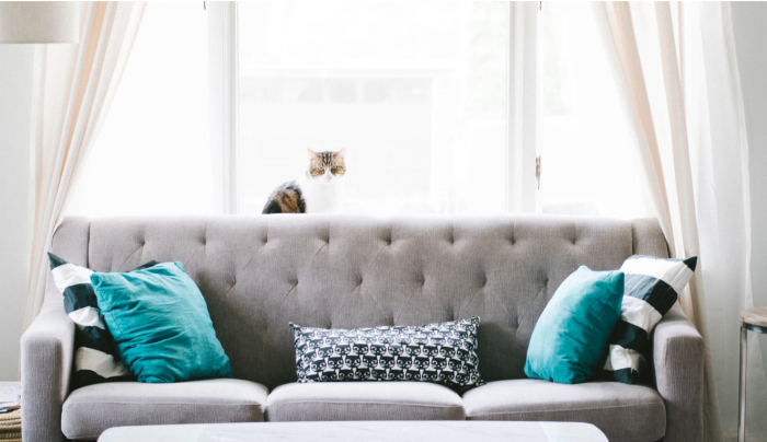 make home insight brighter