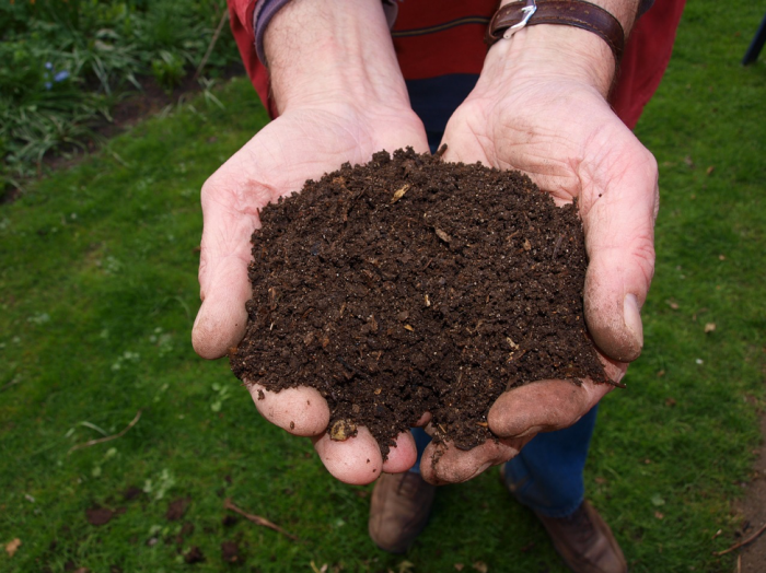 Here's Why You Should Be Making Your Own Compost for Your Garden