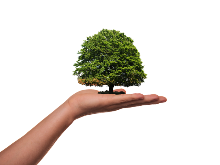 compost tips