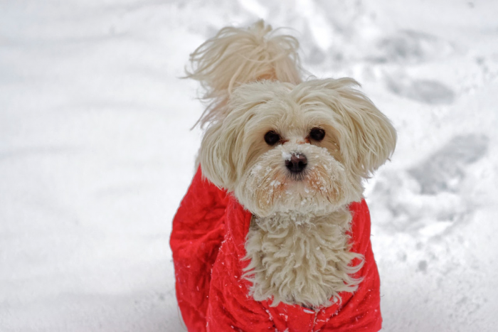 Keep Your Furnace Going Over the Last Stretch of Winter