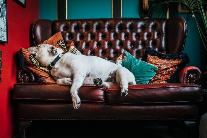 The Best Ways to Clean Your Furniture